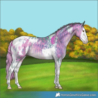 Horse Color:Watercolor Silver Smoky Blue Onyx Splash Tobiano Appaloosa and Gray Watercolor Red Dun Splash Tobiano Appaloosa Rabicano