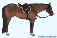 Horse Color:Bay Sabino