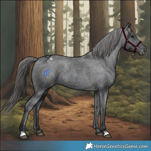 Horse Color:Black Varnish Rabicano 