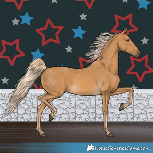 Horse Color:Palomino 