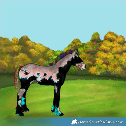 Horse Color:Painted Liver Red Onyx Roan Splash 