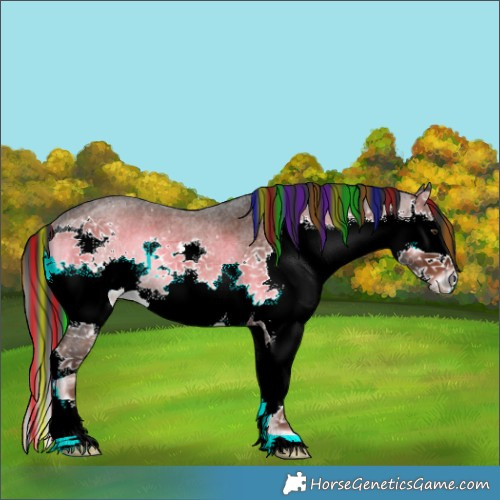 Horse Color:Painted Liver Red Onyx Roan Splash 