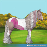 Horse Color:Silver Grullo Tobiano 