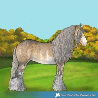 Horse Color:Silver Buckskin Dun Sabino Brindle