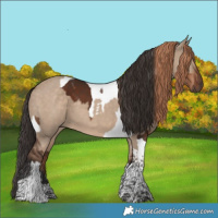 Horse Color:Liver Chestnut Tobiano Appaloosa and Liver Red Dun Tobiano