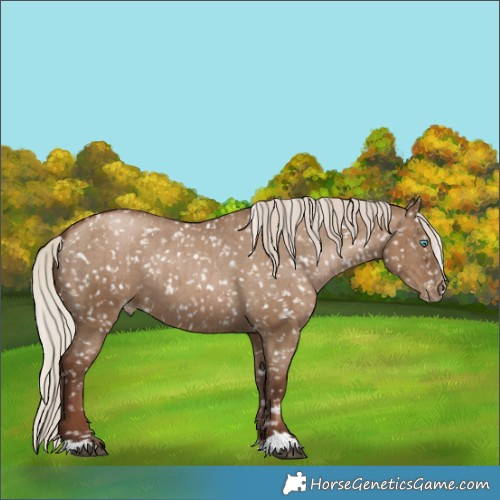 Horse Color:Gray Silver Grullo Pearl Snowflake VarnishRabicano Brindle 