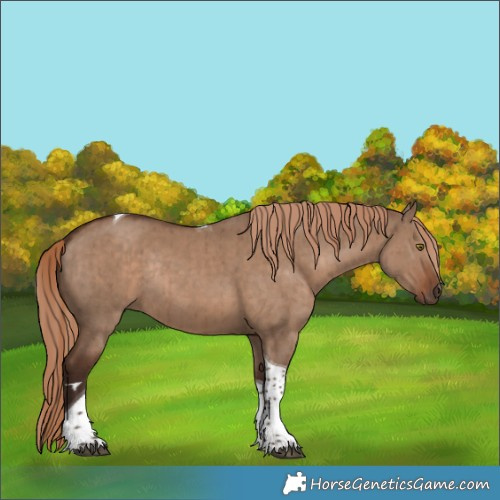 Horse Color:Liver Red Dun Tobiano Rabicano Brindle