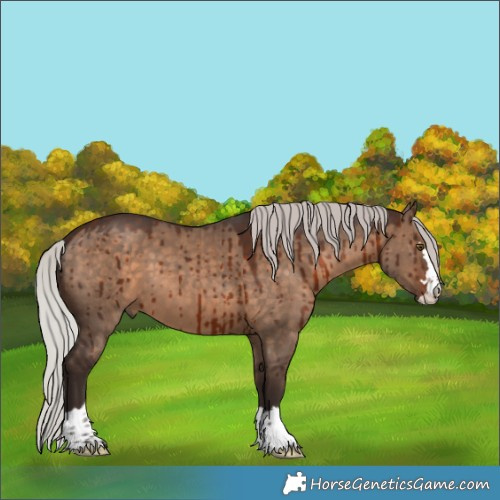 Horse Color:Silver Brown Dun Brindle