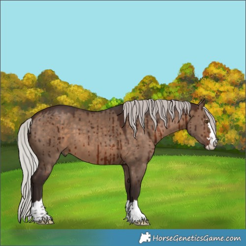 Horse Color:Silver Brown Dun Brindle 
