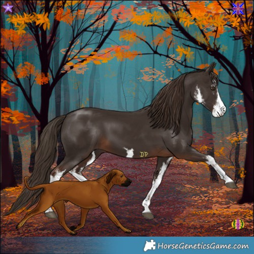 Horse Color:White Spotted Liver Chestnut 