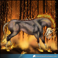 Horse Color:Bay Roan 