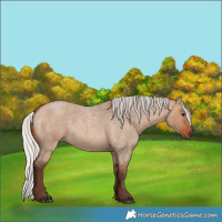 Horse Color:Silver Bay Roan Dun 