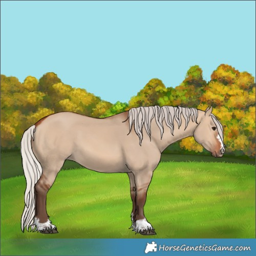 Horse Color:Silver Bay Dun 