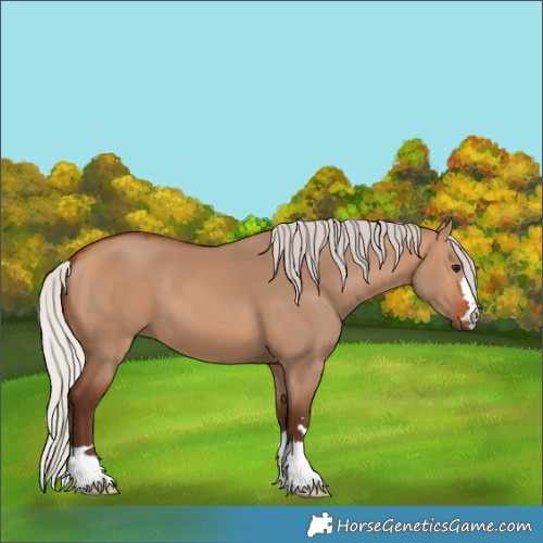 Horse Color:Silver Bay Dun 