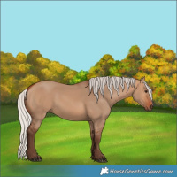 Horse Color:Silver Bay Dun