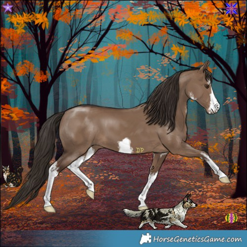 Horse Color:White Spotted Liver Red Dun 