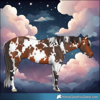 Horse Color:White Spotted Bay 