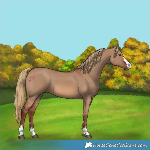 Horse Color:Red Dun