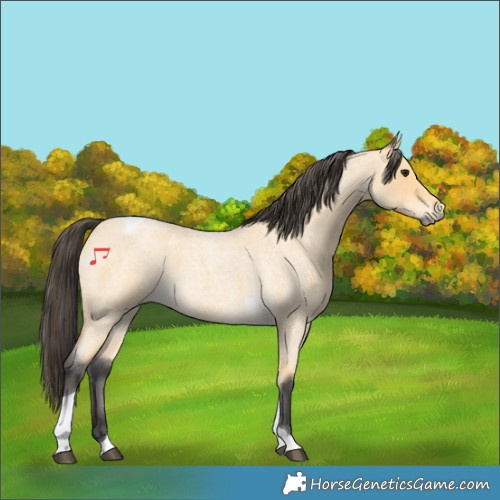 Horse Color:Buckskin Roan Tobiano
