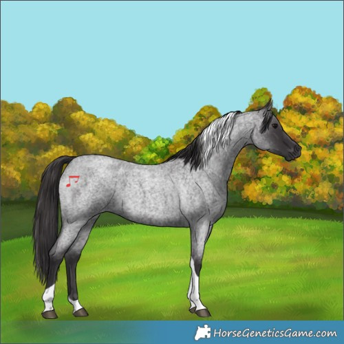 Horse Color:Smoky Blue Roan Tobiano 