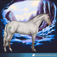 Horse Color:Liver Red Dun Roan Mushroom Appaloosa