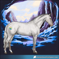 Horse Color:Liver Red Dun Roan Mushroom Appaloosa 