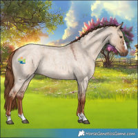 Horse Color:Red Dun Roan 