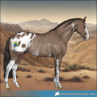 Horse Color:Liver Red Dun Sabino Varnish Rabicano 