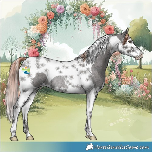 Horse Color:Liver Red Ice Roan Splash Tobiano Rabicano 