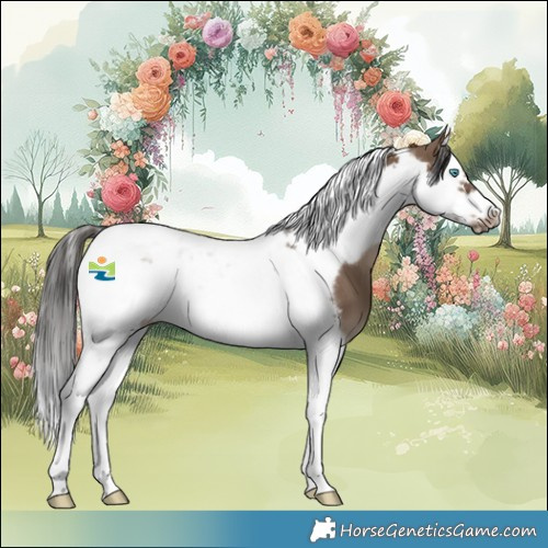 Horse Color:Liver Red Dun Splash Tobiano Frame 