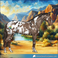 Horse Color:White Spotted Liver Red Dun Appaloosa Brindle 