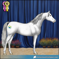 Horse Color:Liver Chestnut Mushroom Sabino