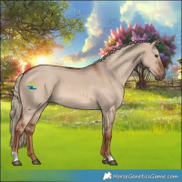 Horse Color:Red Dun Mushroom 