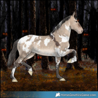 Horse Color:White Spotted Brown Dun Merle Blanket Rabicano 