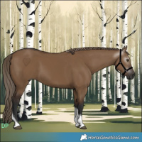 Horse Color:Gray Liver Red Dun Tobiano 