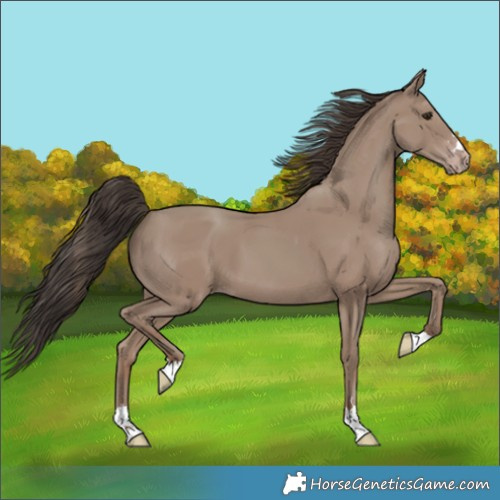 Horse Color:Classic Champagne 