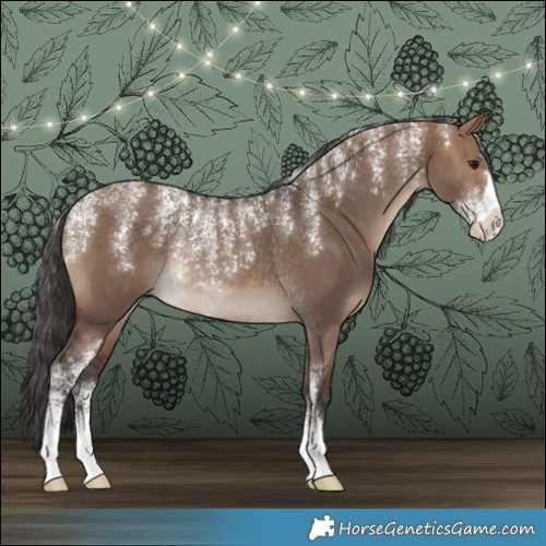 Horse Color:Powder White Brown Dun Rabicano 