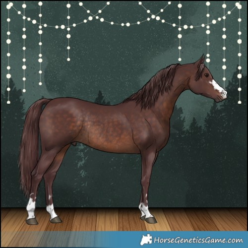 Horse Color:Chocolate Brown Rabicano 
