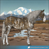Horse Color:Silver Buckskin Rabicano  and Silver Buckskin Sabino Rabicano 