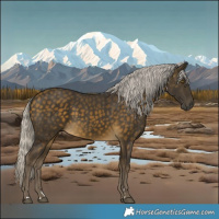Horse Color:Silver Buckskin 