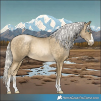Horse Color:Silver Buckskin Pearl and Silver Buckskin Pearl