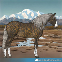 Horse Color:Silver Buckskin 