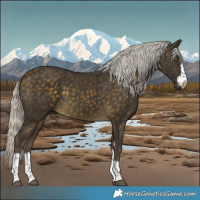Horse Color:Silver Buckskin 
