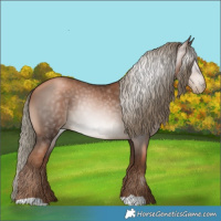 Horse Color:Gray Liver Chestnut Pearl Mushroom