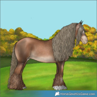 Horse Color:Gray Liver Chestnut Pearl Mushroom