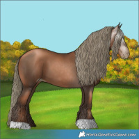 Horse Color:Gray Liver Chestnut Pearl Mushroom 