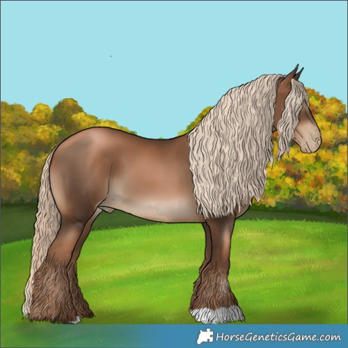 Horse Color:Gray Liver Chestnut Pearl Mushroom