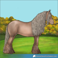 Horse Color:Liver Chestnut Pearl Mushroom 