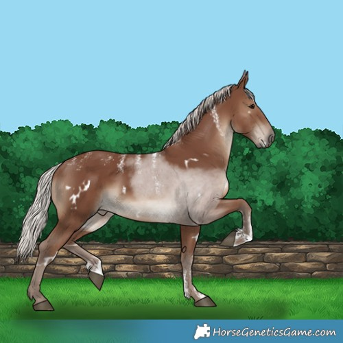 Horse Color:Powder White White Spotted Silver Black 