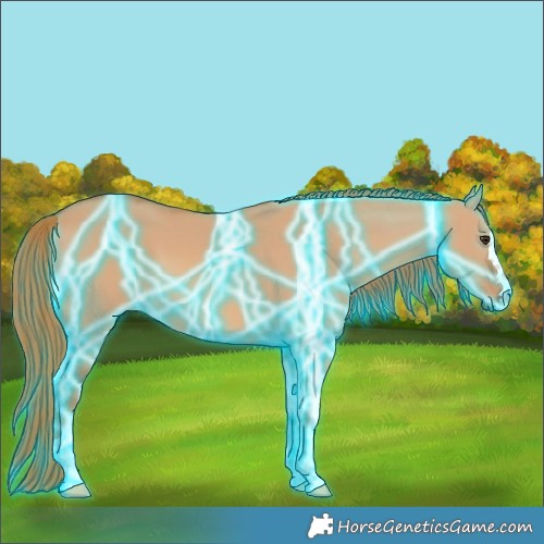 Horse Color:Thunderstruck Red Dun 